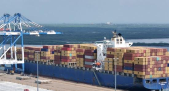Hambantota Port : A Marine Biodiversity Hotspot